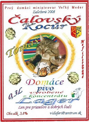 čalovský Kocúr - Lager 0,3L