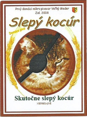 Slepý kocúr